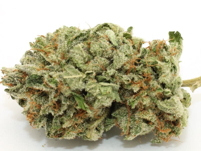 Silver Haze #3